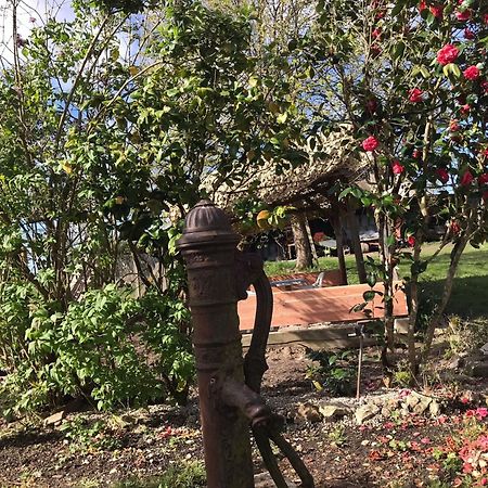 Villa Coco 9 Personnes Jardin Proche Beauval Lye ภายนอก รูปภาพ